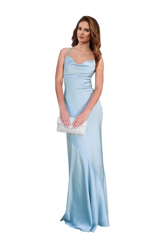 Buy Long Light Sky Blue Sleeveless Sheath Open Back Formal Dress